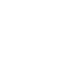Pulse In Peace logo